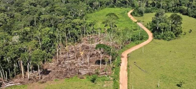TFFF COP30 Mongabay