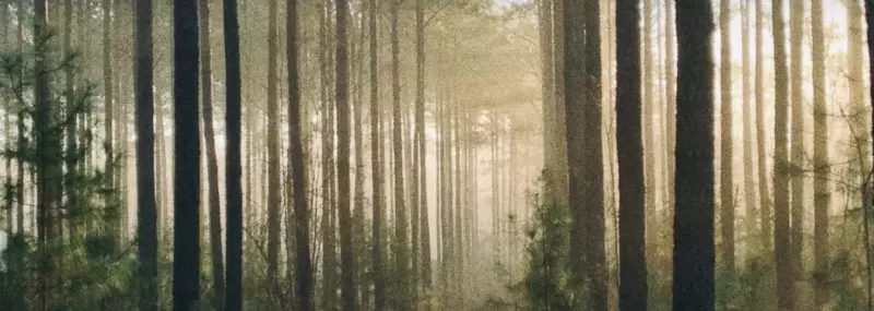 Australa Nuova Zelanda