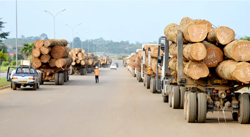 Gabon tracciabilita