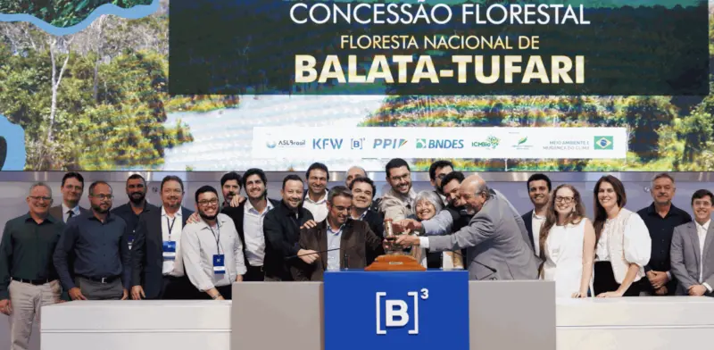 Brasile concessao forestal