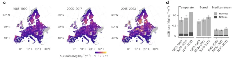 Foreste europee