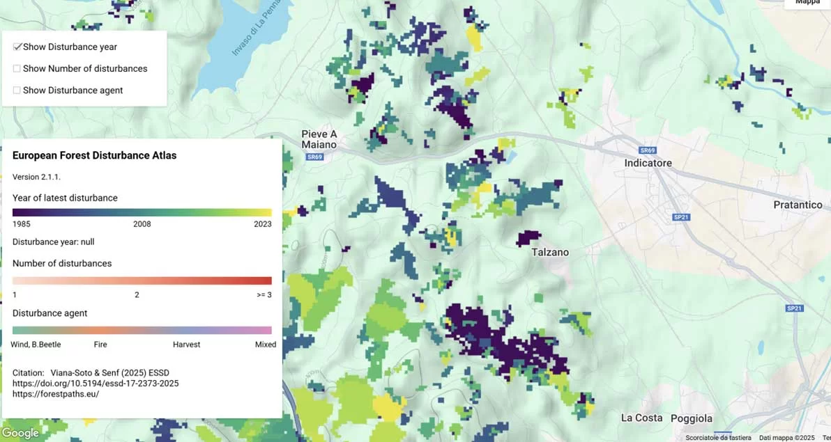 pm12 Europa Mappe europee perturbazioni forestali