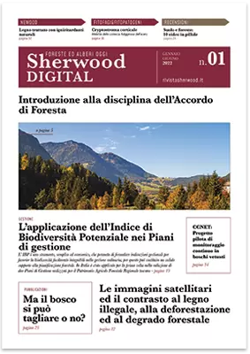 Sherwood digital 01 - 2022