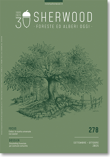 Sherwood - Foreste ed Alberi Oggi