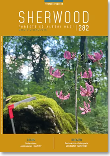 Sherwood - Foreste ed Alberi Oggi