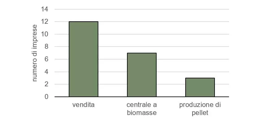 SH274 art01 grafico05